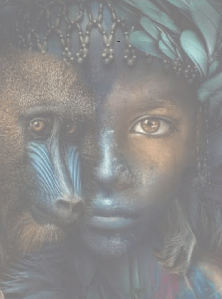 Post instagram carrossel móveis planejados moderno cinza e branco